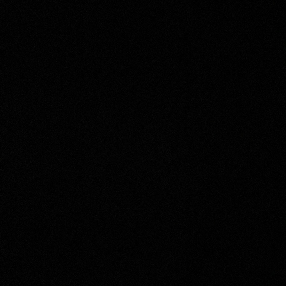 Meet your Posher, Charli